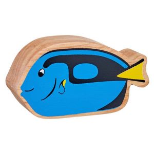 Lanka Kade Blue Tang Fish